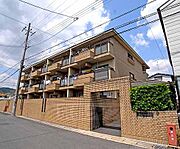 ソル・クメリアーナ 3階 築40年6ヶ月の賃貸物件