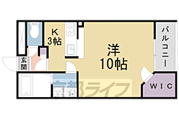 レオネクスト京都 1階/103