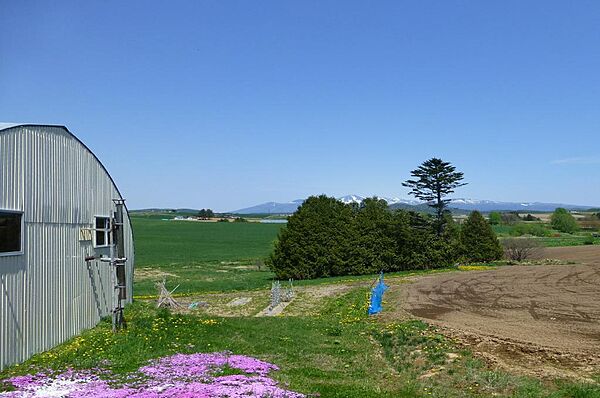 detached 北海道富良野市字老節布
地図を見る