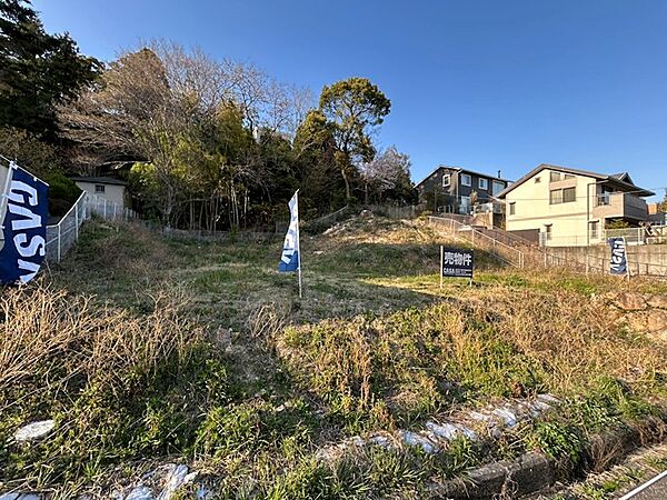 外観：328000487982