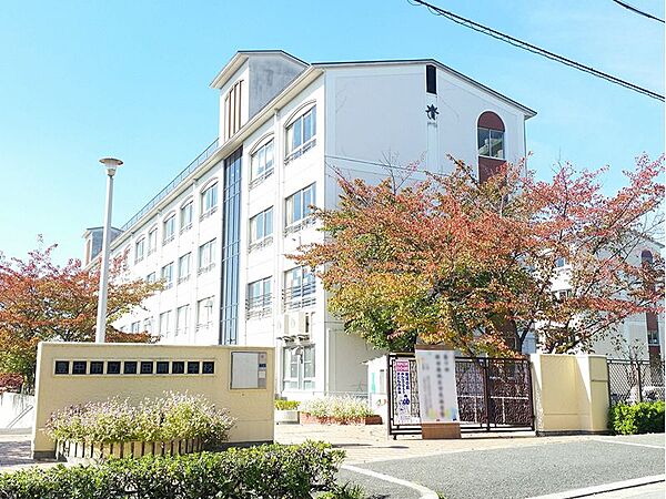 豊中市立新田南小学校（305m）