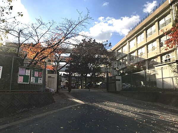 豊中市立泉丘小学校（736m）