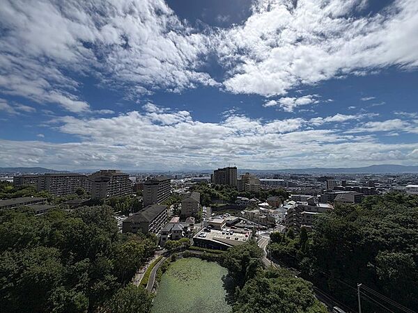 窓から見えるバルコニーが部屋の空間を広く見せてくれるのも魅力的です