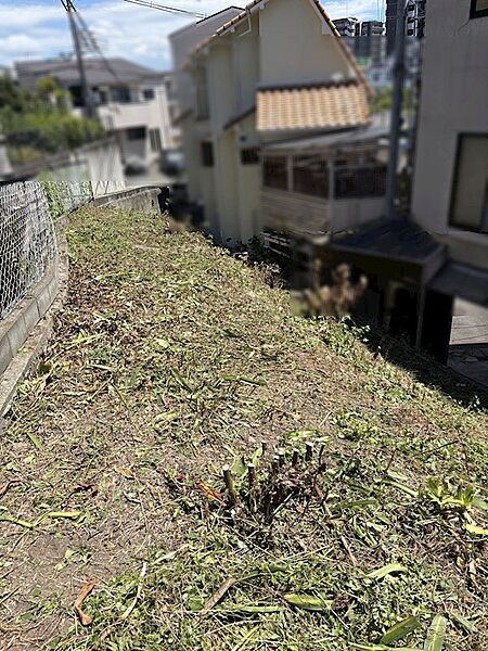 外観：327002981390