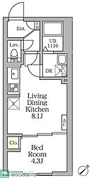Aglaia 新宿横寺町 1LDKの間取図画像