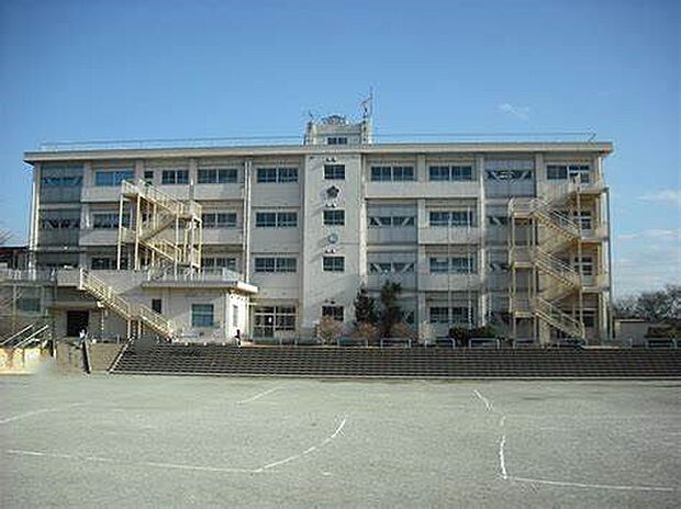 桜木小学校