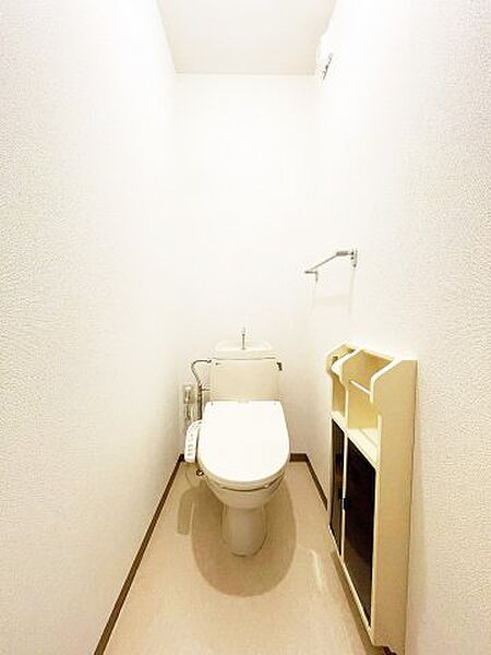 画像10:ゆったりとした空間のトイレです