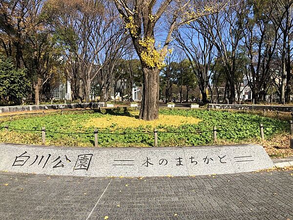 白川公園　約409m/徒歩約6分