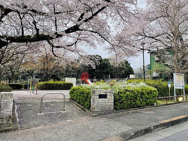 【公園】紅葉台南公園まで254ｍ