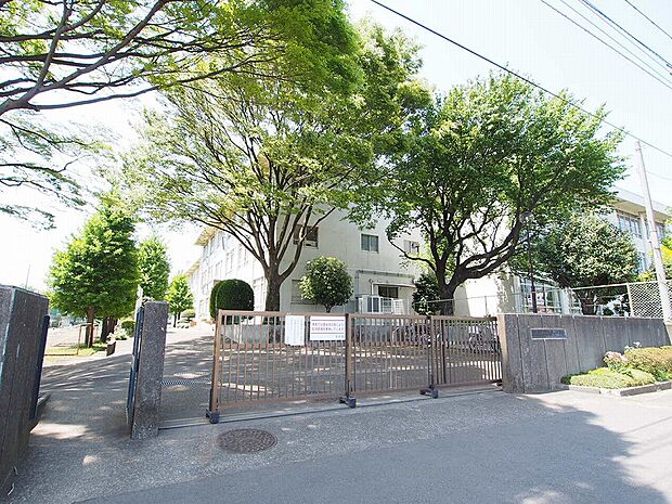 相模台小学校まで約428ｍ