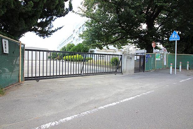 緑野小学校まで約141m