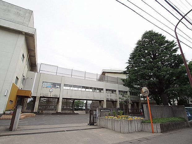 共和中学校まで約1234~1263m
