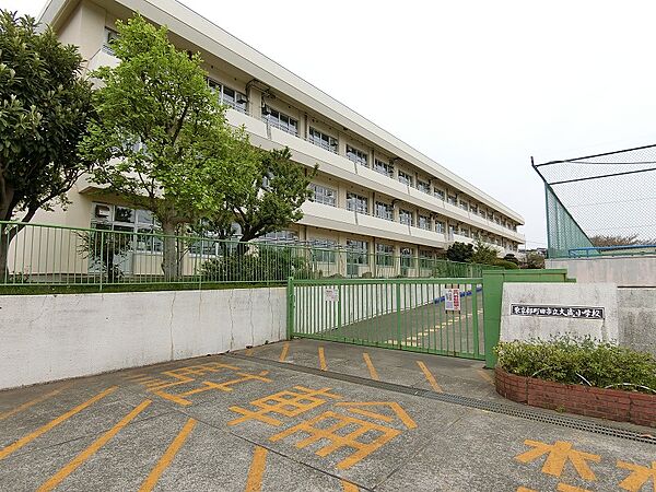 大蔵小学校まで約815ｍ