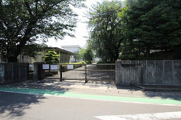 相模原市立双葉小学校まで約479ｍ