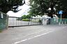 周辺：大和市立緑野小学校まで約1053ｍ