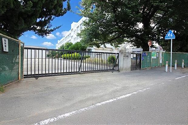 大和市立緑野小学校まで約385ｍ