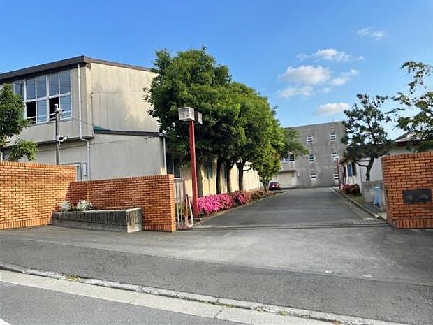 川崎市立金程中学校まで約317m