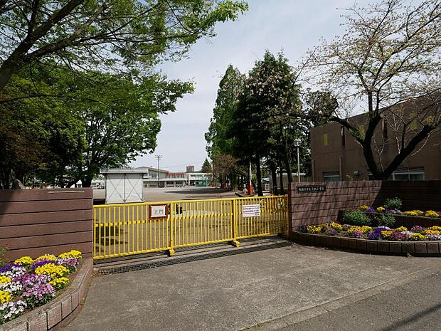 清新小学校まで約706〜741m