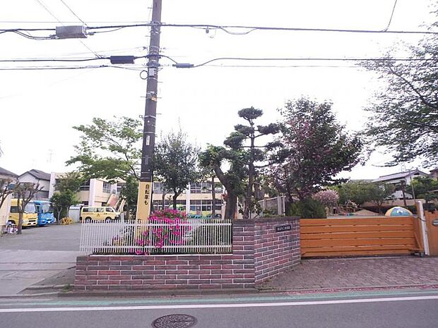 誠心第二幼稚園まで約312ｍ