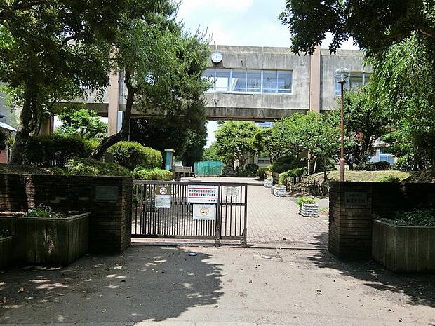 上溝中学校まで約677m