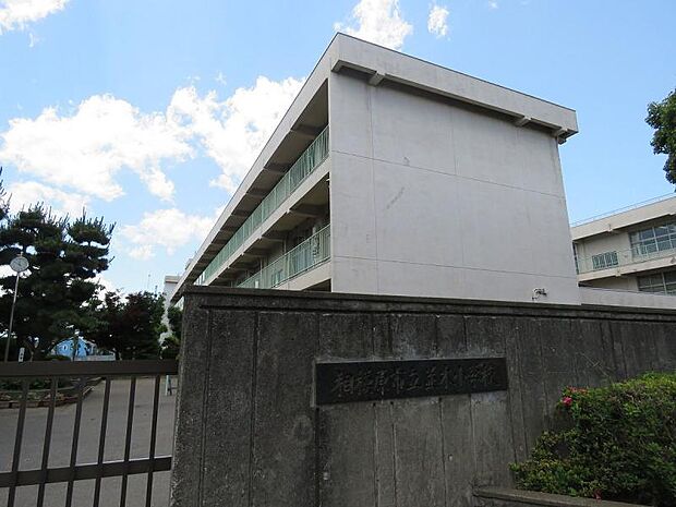 並木小学校まで約994m