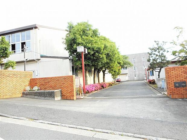 金程中学校まで約895m