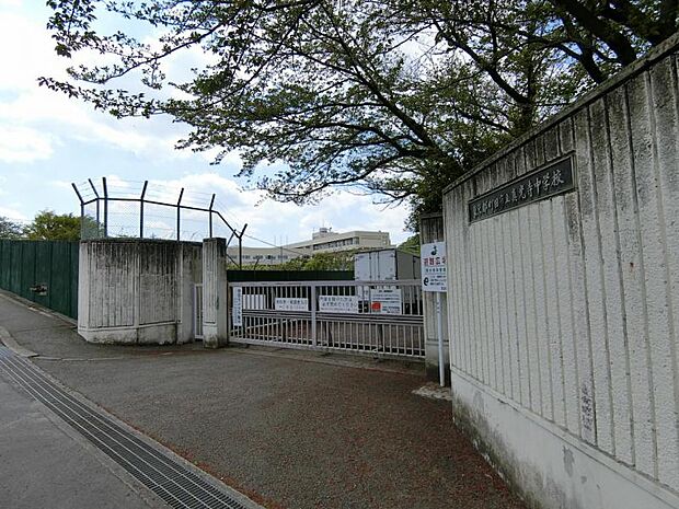 真光寺中学校まで約712m