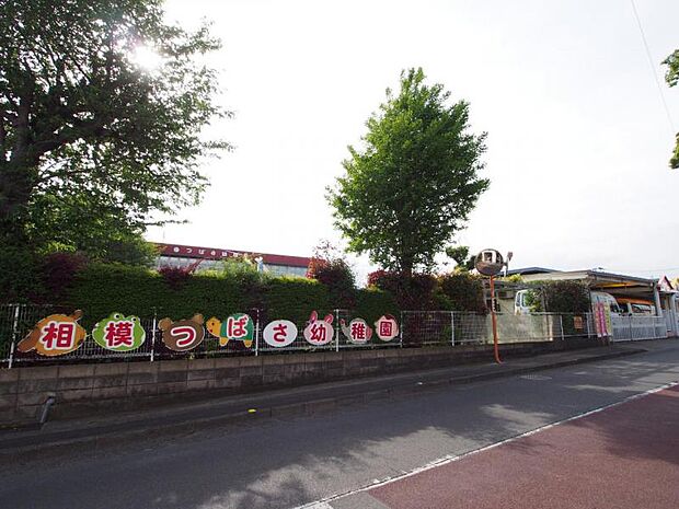 相模つばさ幼稚園まで約143〜245m