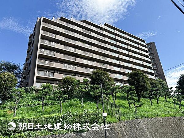 外観：313004894265