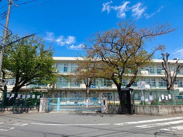 町田第五小学校まで約445ｍ