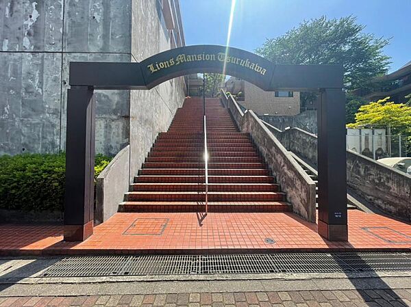 外観：313004246882