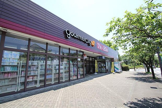 グルメシティ 鶴川緑山店まで約1190m