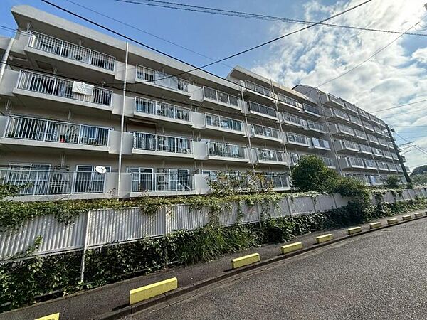 外観：313004490051