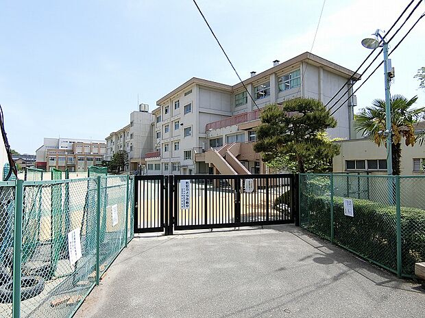 堺中学校まで約1113ｍ