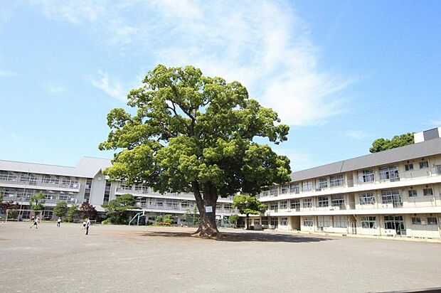 新磯小学校まで約767ｍ