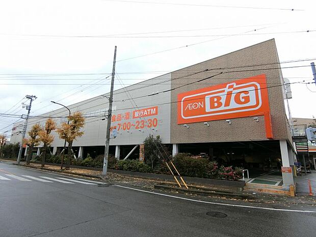 ザ・ビッグ相模原東橋本店まで約1095ｍ