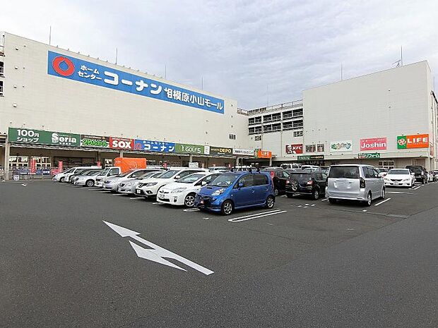 ライフ相模原モール店まで約276ｍ