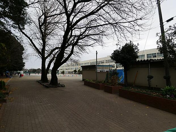 西鶴間小学校まで約800〜850ｍ