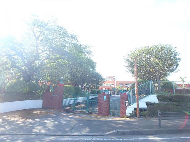 誠心相陽幼稚園まで約878m