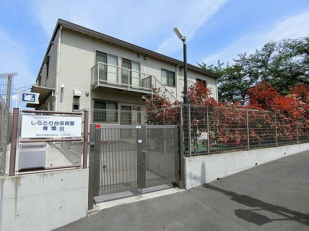 しらとり台保育園青葉台まで約314ｍ