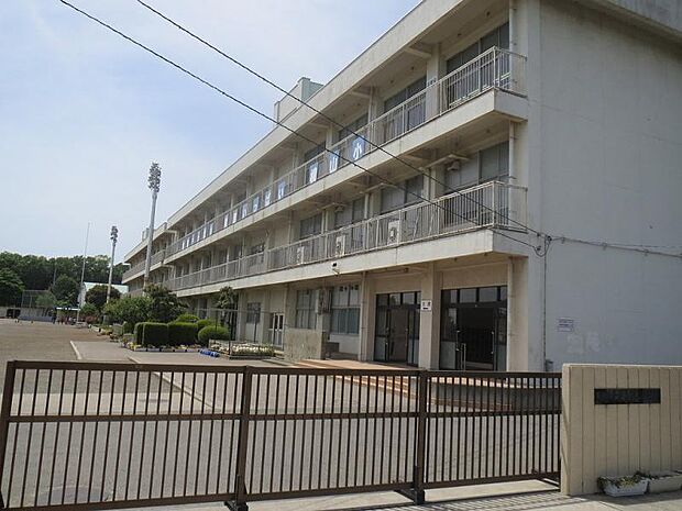 横山小学校まで約589m