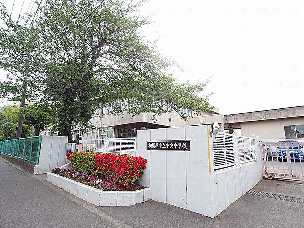 中央中学校まで約831m