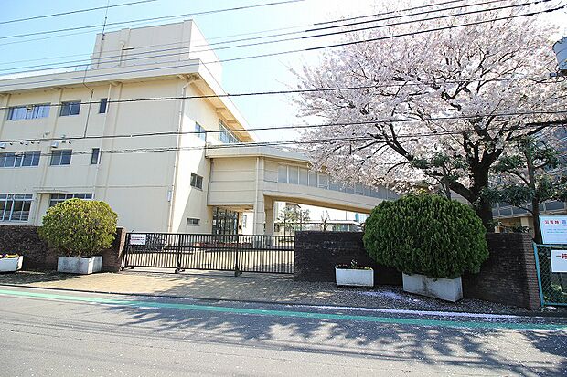 麻溝台中学校まで約1216ｍ