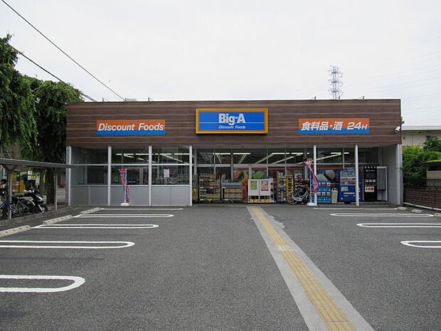 ビッグ・エー相模原共和店まで約263ｍ