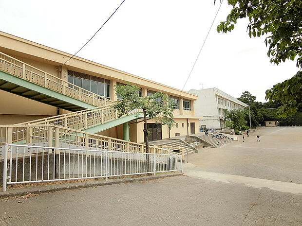 相武台東小学校まで約1004m