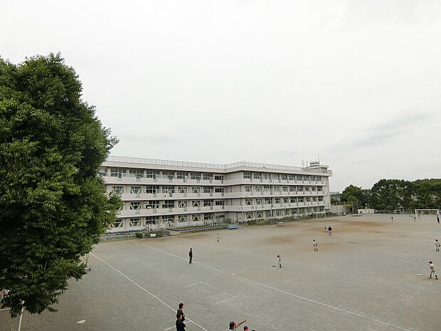 立野台小学校まで約536m