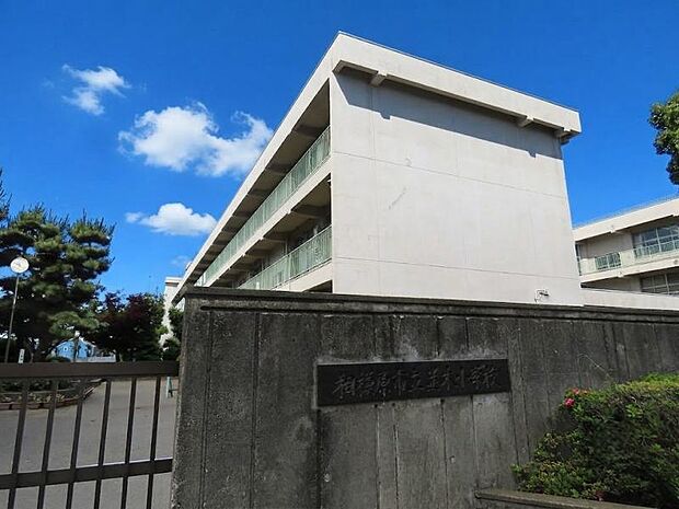 相模原市立並木小学校まで約1285m