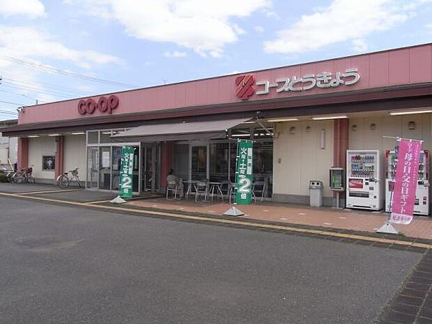 コープときわ店まで約857m (徒歩11分)