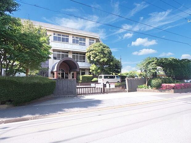 相模原市立若草中学校まで約514m