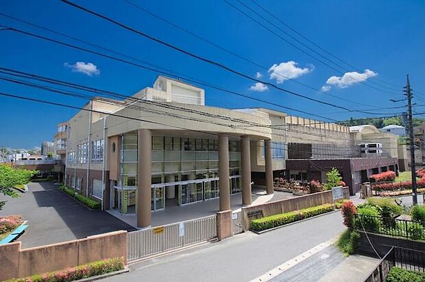 川崎市立柿生小学校まで約114m